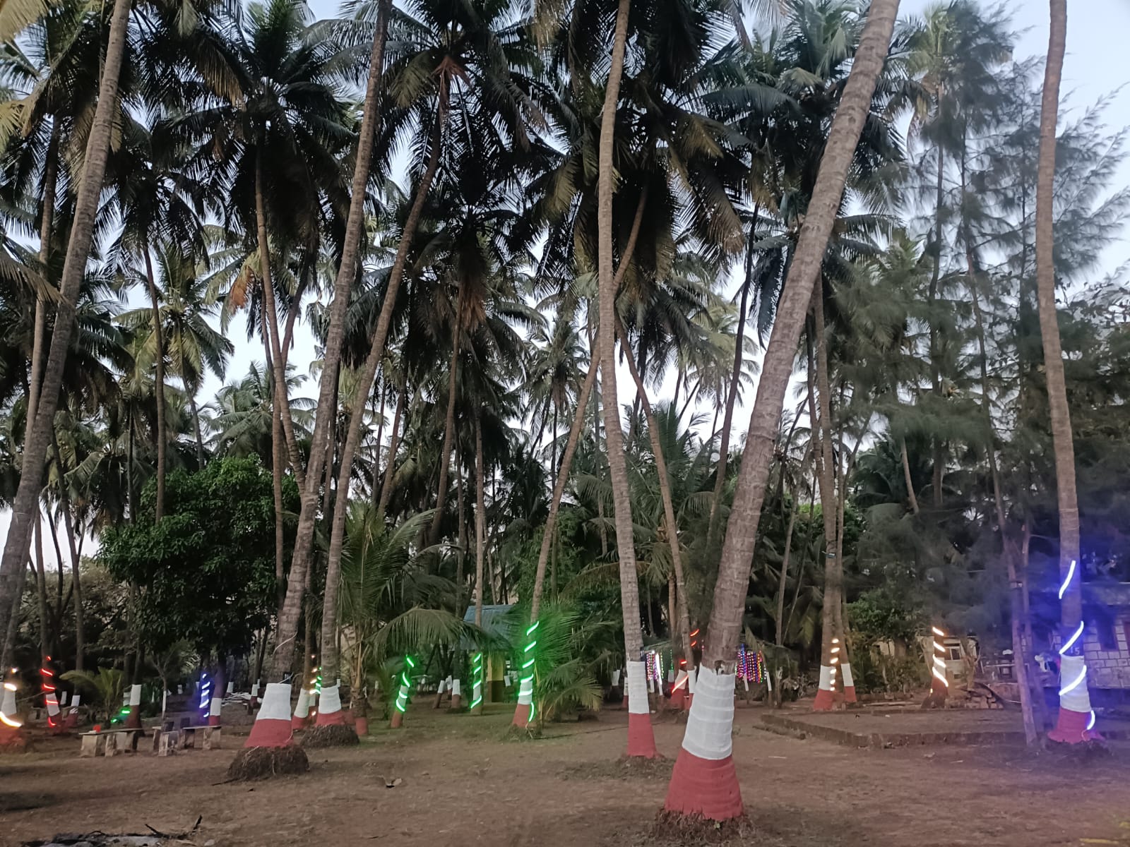 Resort Photo